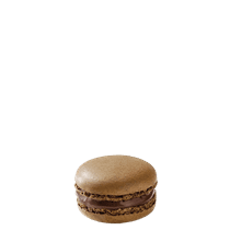 Macaron de Chocolate